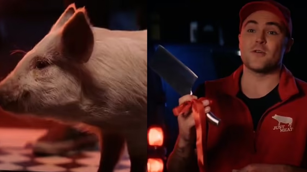 Ordinano cena al delivery, arriva un maiale vivo e un coltello: polemiche per la trovata anti carne