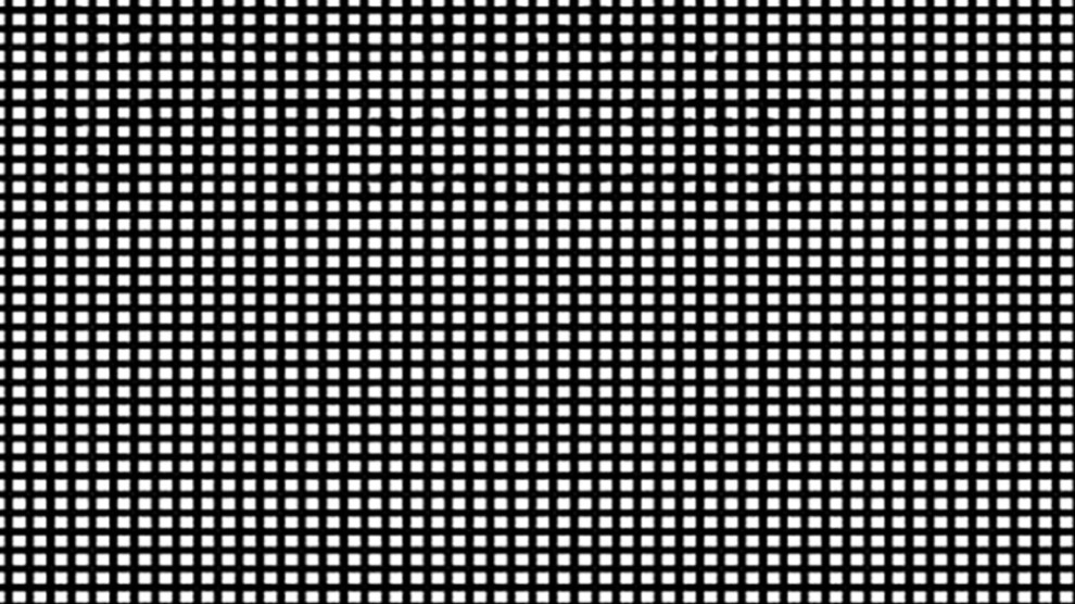 L’illusione ottica che cambia tra monitor e carta: ecco cosa nasconde la famosa immagine